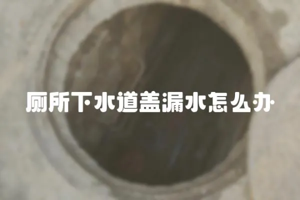 廁所下水道蓋漏水怎么辦