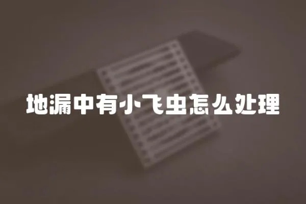 地漏中有小飛蟲怎么處理