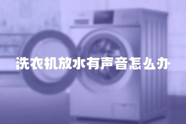 洗衣机放水有声音怎么办