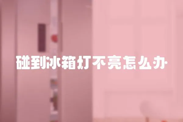 碰到冰箱燈不亮怎么辦