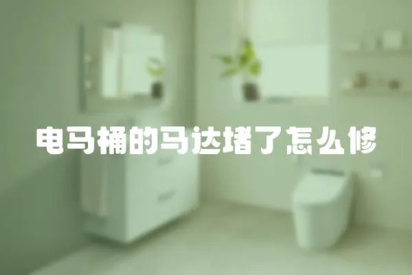 電馬桶的馬達(dá)堵了怎么修