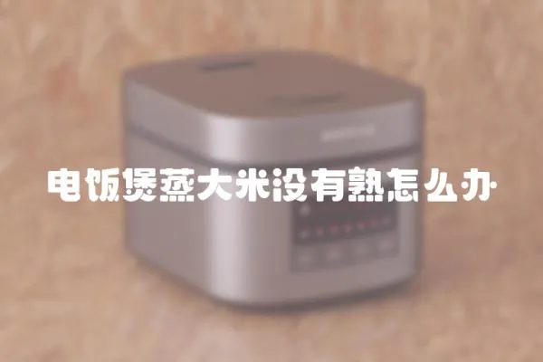 電飯煲蒸大米沒有熟怎么辦