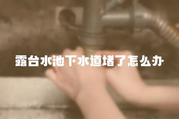 露臺水池下水道堵了怎么辦