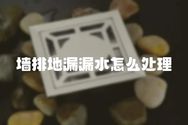 墻排地漏漏水怎么處理