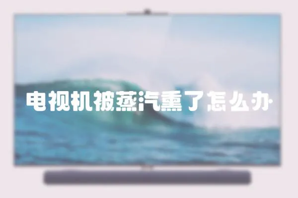 電視機被蒸汽熏了怎么辦