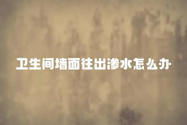 衛生間墻面往出滲水怎么辦