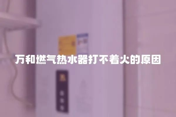 萬和燃?xì)鉄崴鞔虿恢鸬脑?></a></div>
                    <div   id=