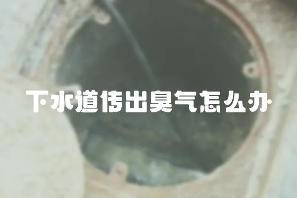 下水道傳出臭氣怎么辦
