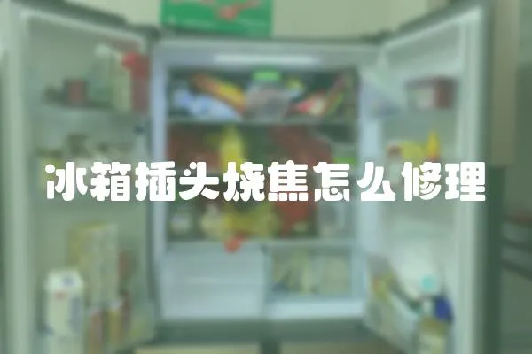 冰箱插頭燒焦怎么修理