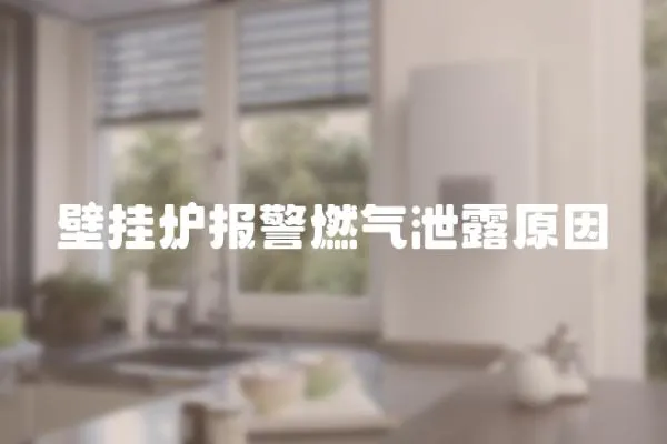 壁掛爐報警燃氣泄露原因