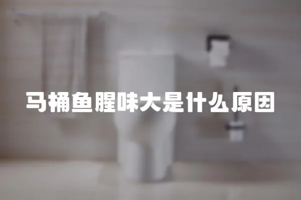 馬桶魚腥味大是什么原因