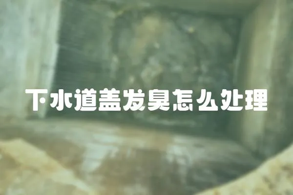 下水道蓋發(fā)臭怎么處理