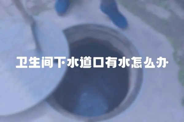 衛生間下水道口有水怎么辦