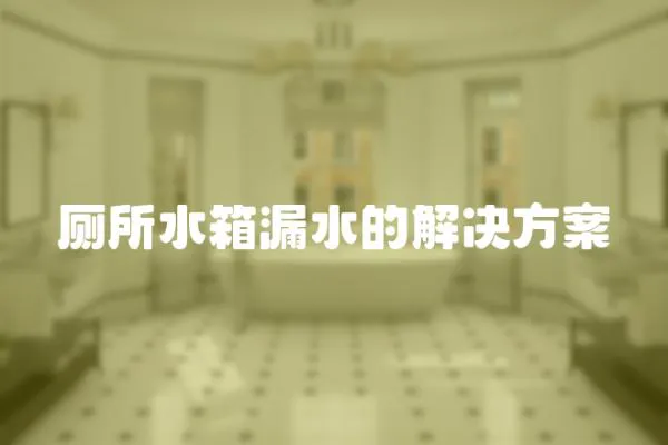 廁所水箱漏水的解決方案