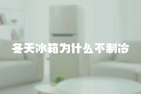 冬天冰箱為什么不制冷