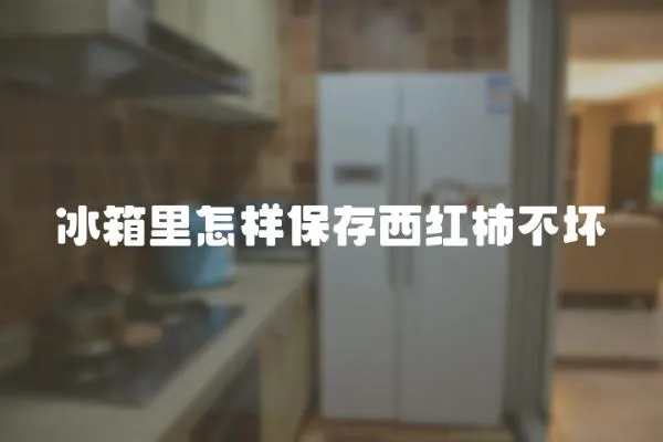 冰箱里怎樣保存西紅柿不壞