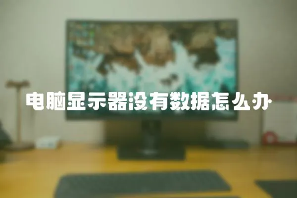 電腦顯示器沒有數據怎么辦