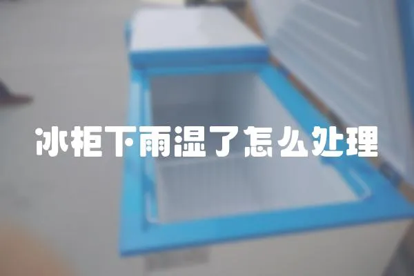 冰柜下雨濕了怎么處理