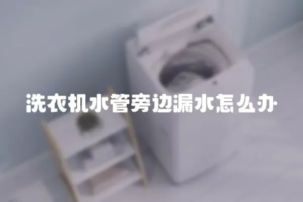 洗衣機水管旁邊漏水怎么辦