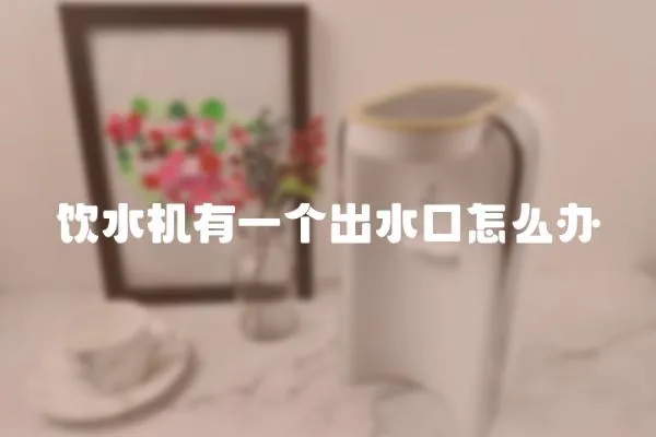 飲水機(jī)有一個(gè)出水口怎么辦