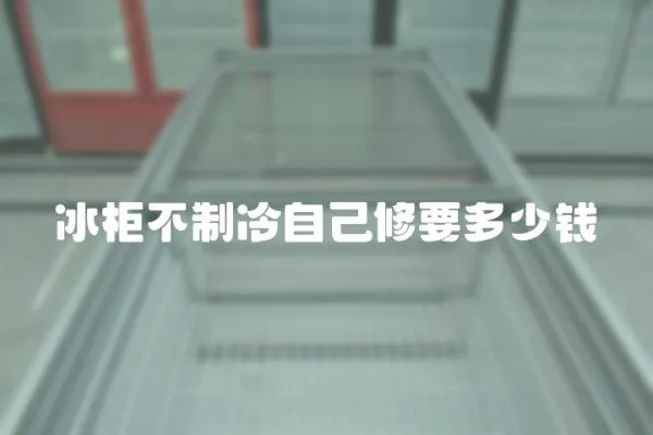 冰柜不制冷自己修要多少錢