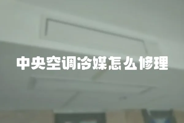 中央空調(diào)冷媒怎么修理