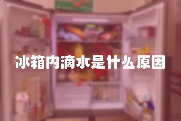 冰箱內滴水是什么原因