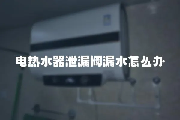 電熱水器泄漏閥漏水怎么辦