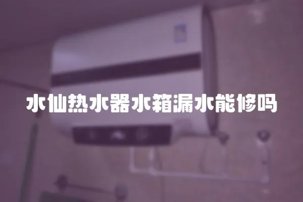 水仙熱水器水箱漏水能修嗎