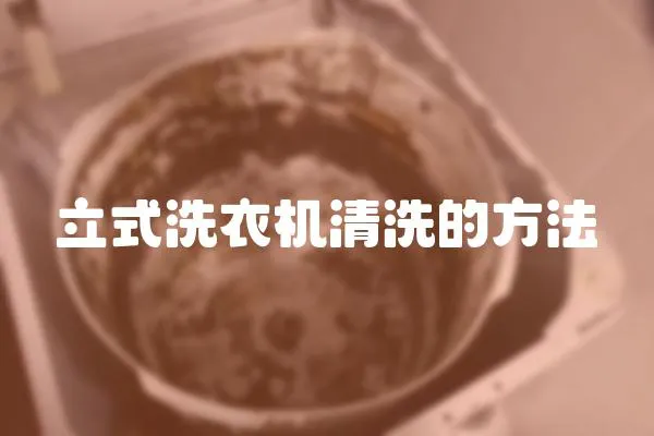 立式洗衣機清洗的方法