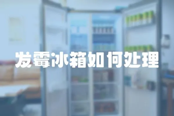 發(fā)霉冰箱如何處理