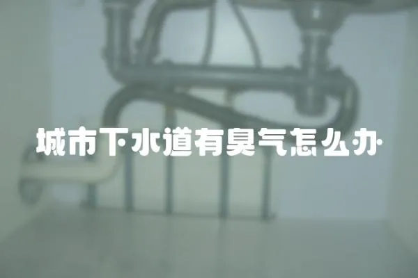 城市下水道有臭氣怎么辦