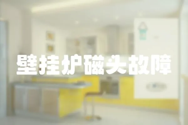 壁掛爐磁頭故障