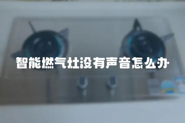 智能燃气灶没有声音怎么办