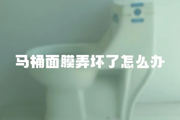 馬桶面膜弄壞了怎么辦