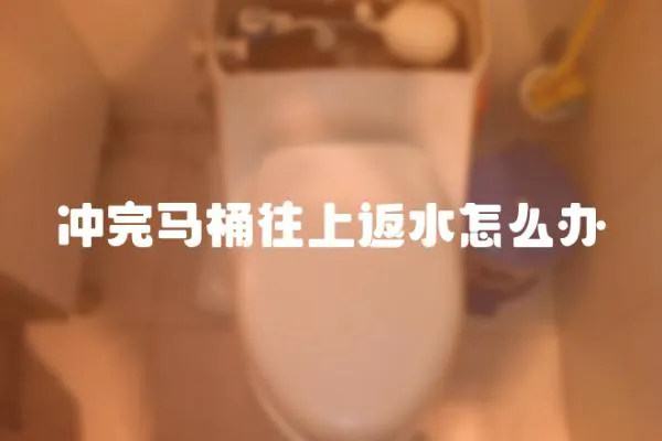 沖完馬桶往上返水怎么辦