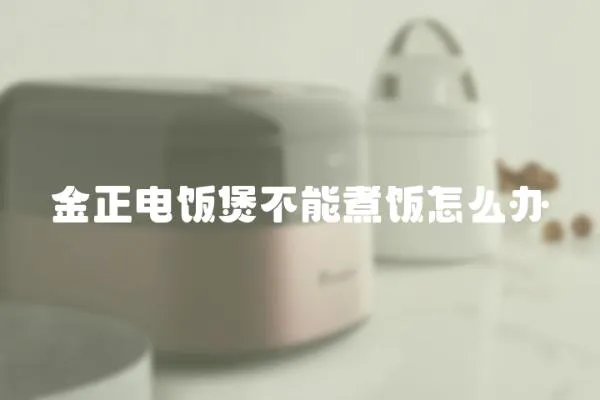 金正電飯煲不能煮飯怎么辦