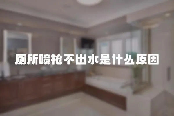 廁所噴槍不出水是什么原因