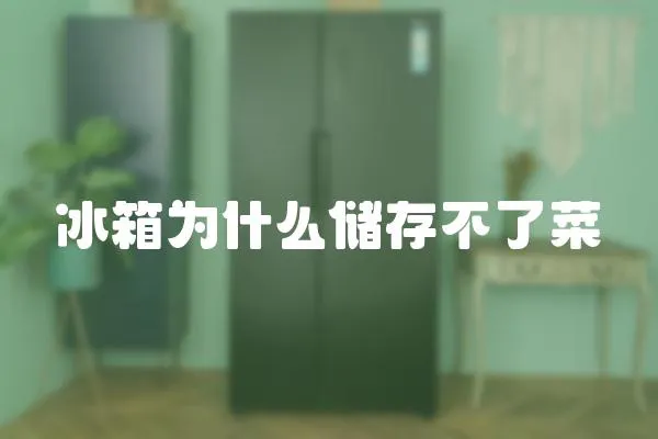 冰箱為什么儲存不了菜