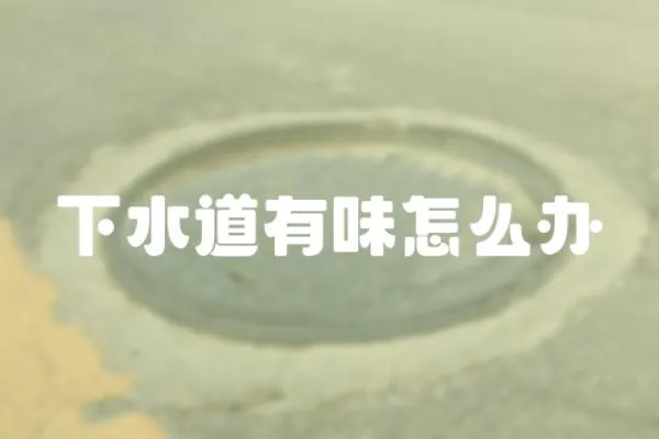 下水道有味怎么辦