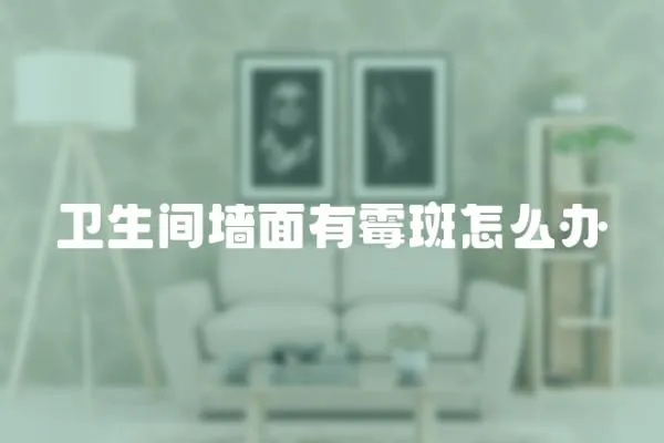 衛(wèi)生間墻面有霉斑怎么辦