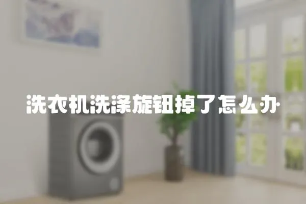 洗衣機洗滌旋鈕掉了怎么辦