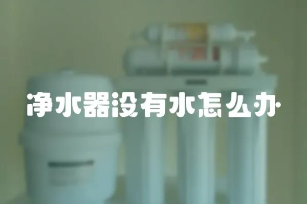 凈水器沒有水怎么辦
