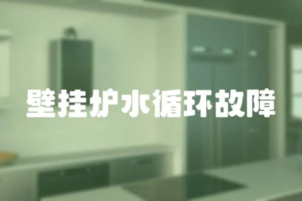 壁掛爐水循環故障