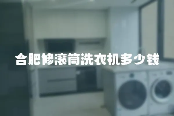 合肥修滾筒洗衣機多少錢