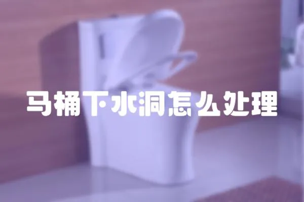 馬桶下水洞怎么處理