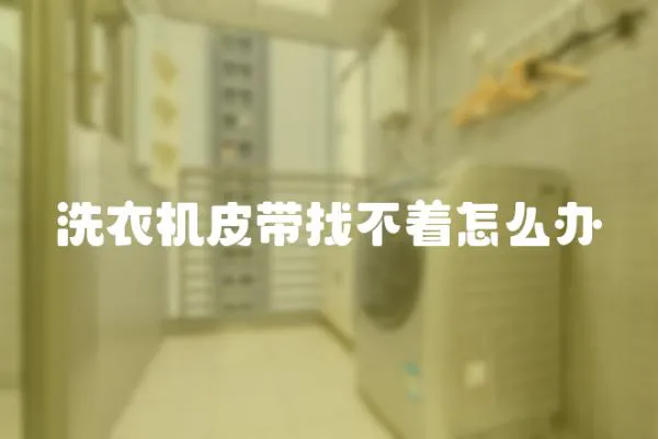 洗衣機皮帶找不著怎么辦