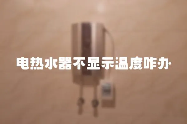 電熱水器不顯示溫度咋辦