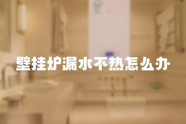 壁掛爐漏水不熱怎么辦