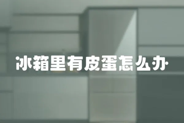 冰箱里有皮蛋怎么辦